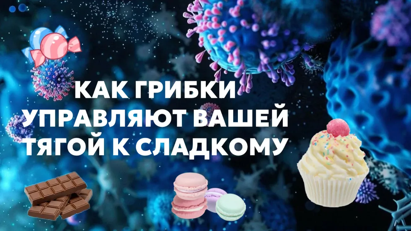 Давно мы с вами не говорили о дрожжах.  А ведь вот-вот начнется сезон фруктов и даже самые правильны
