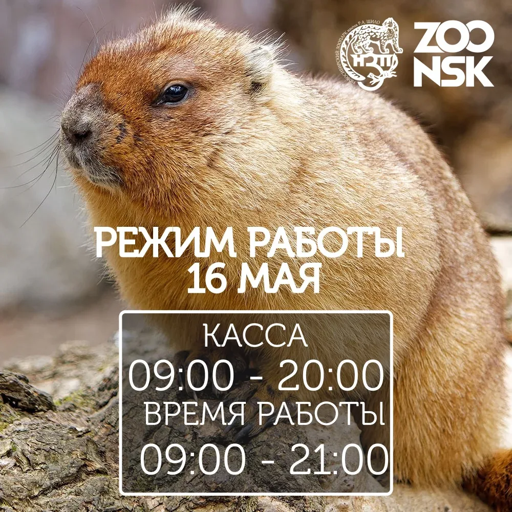 Уважаемые гости, 16 мая, в связи с проведением Ночи музеев, Новосибирский зоопарк будет работать по 