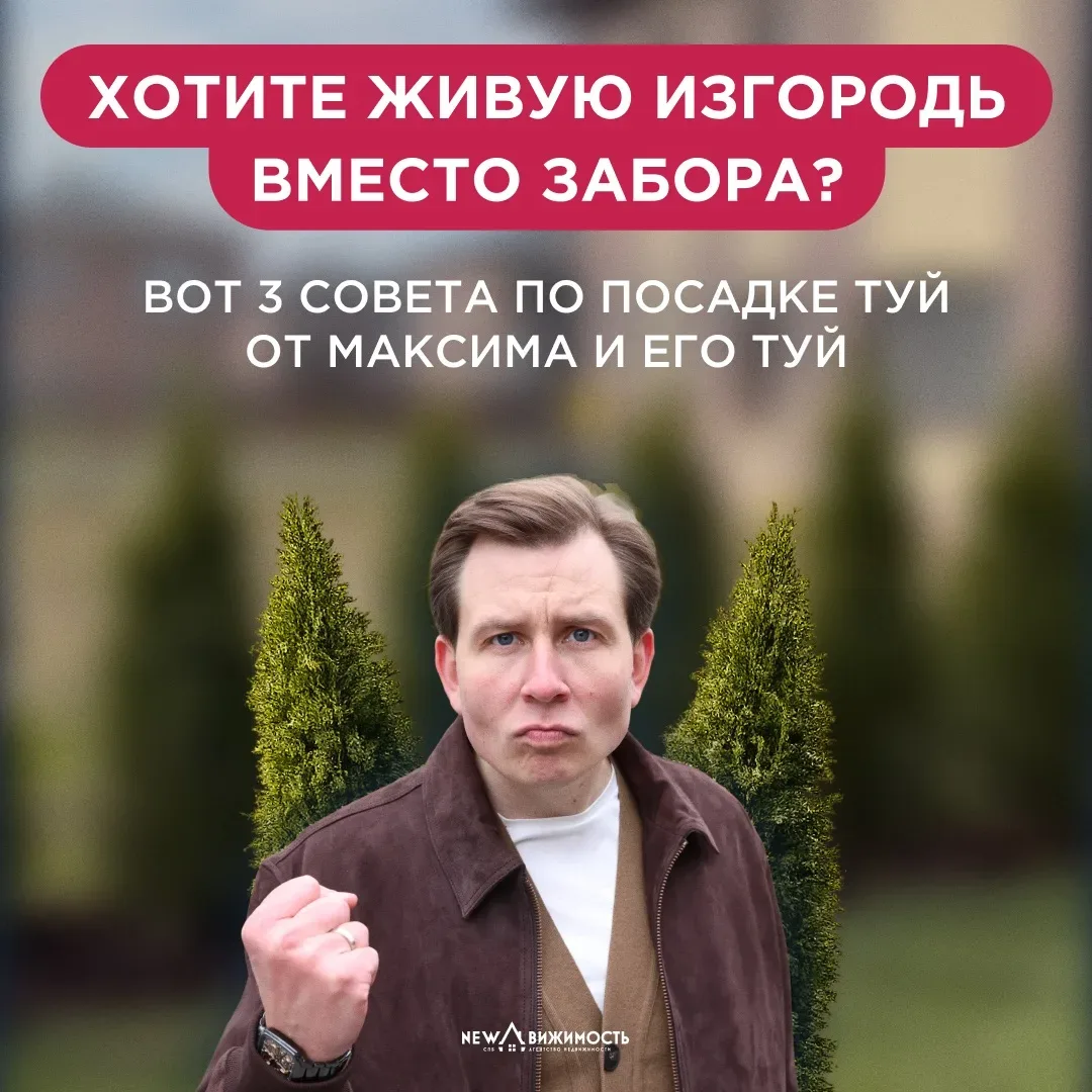 Купил дом и внезапно стал «ландшафтным дизайнером»  На днях Максим впервые высадил часть туй у себя 