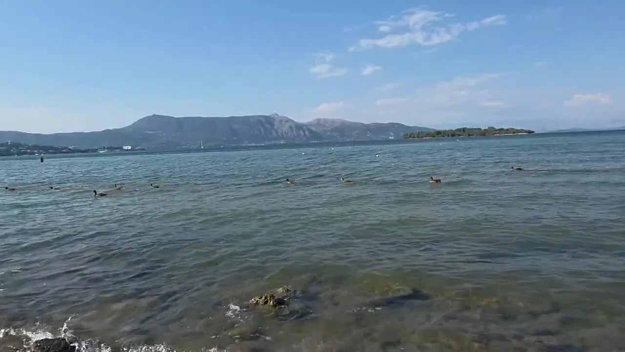 Видео