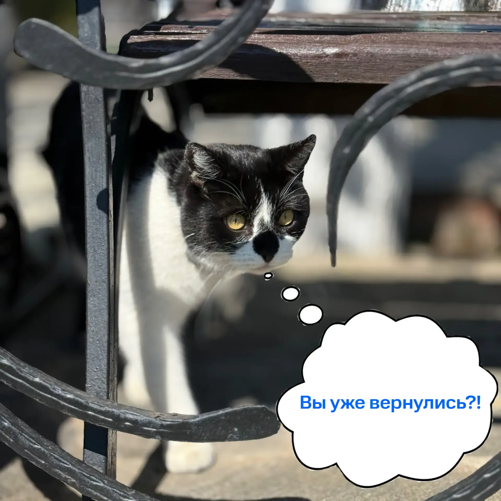 Доброго майского утра, ТГУ☀️  Вот ещё чуть-чуть отдохнули, можно и поработать взять пример с Кузьмы 