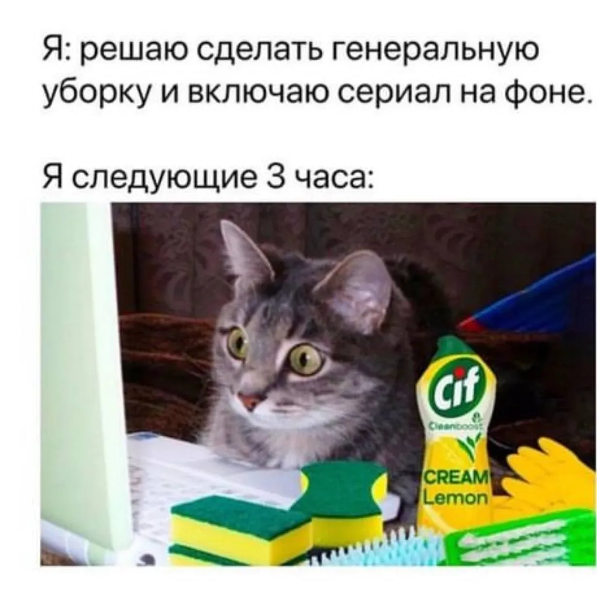 «Почему я не знала этого раньше?» — частая фраза женщин, которые подписались на «Бабское комьюнити».