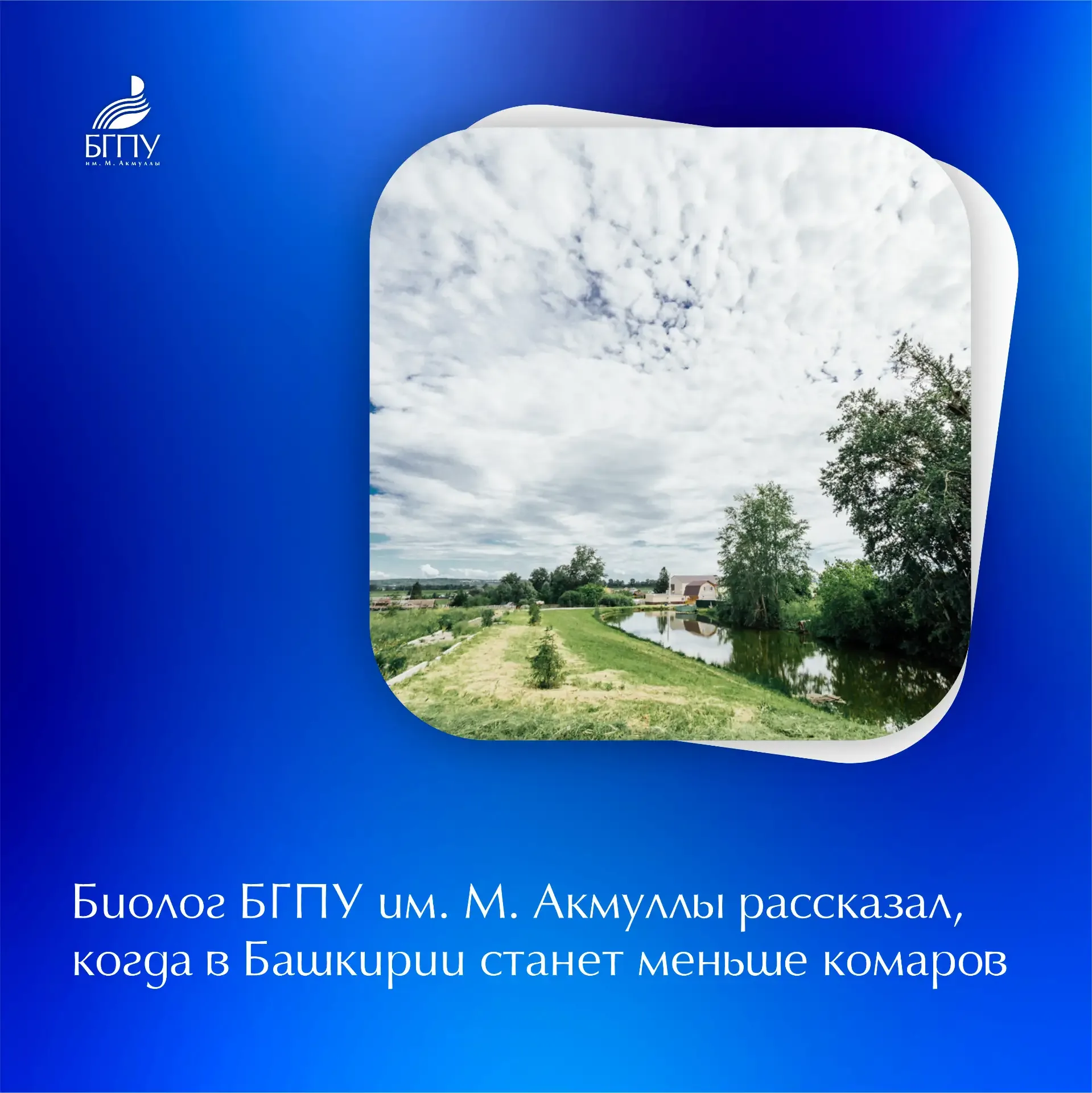 🦟 На вопрос о том, когда в Башкирии начнёт снижаться активность комаров, ответил кандидат биологичес