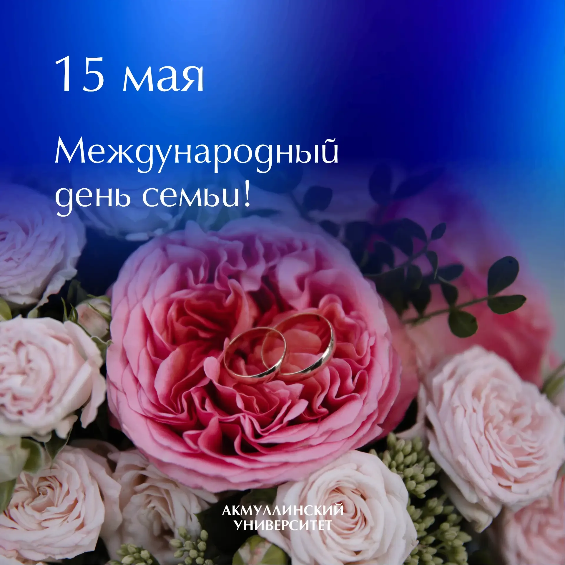 🌺 С Международным днем семьи!  #ДатаБГПУАкмуллы #Акмуллинский #БГПУАкмуллы