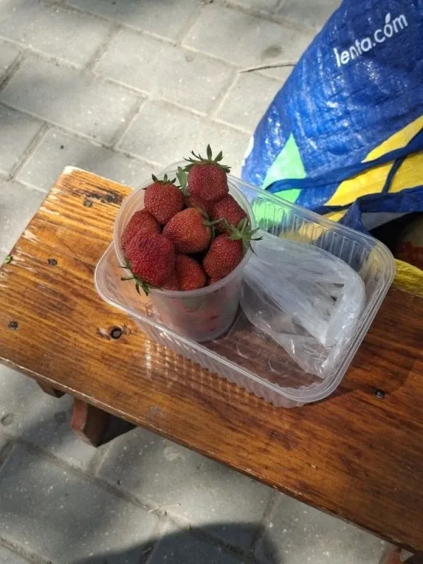 В Астрахани пошла первая грунтовая дачная клубника.  Килограммами еще не продают, только стаканами. 