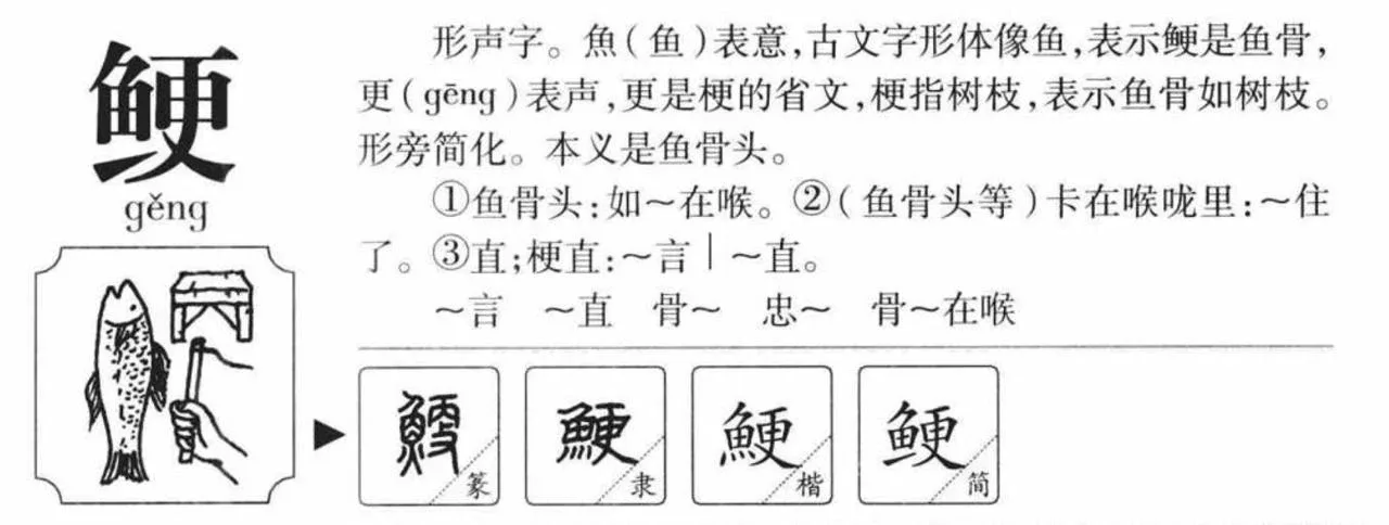 鲠-gěng  Значение иероглифа: Рыбья кость; также «застревать (костью в горле)», «прямой, честный (о ха