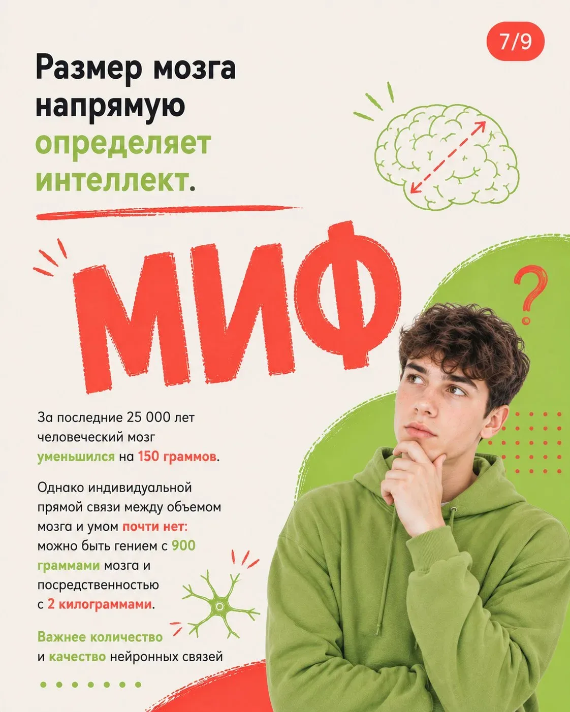 Что помогает детям стать умнее, а что глупее. Разбираем правду и мифы с точки зрения нейробиологии 👆