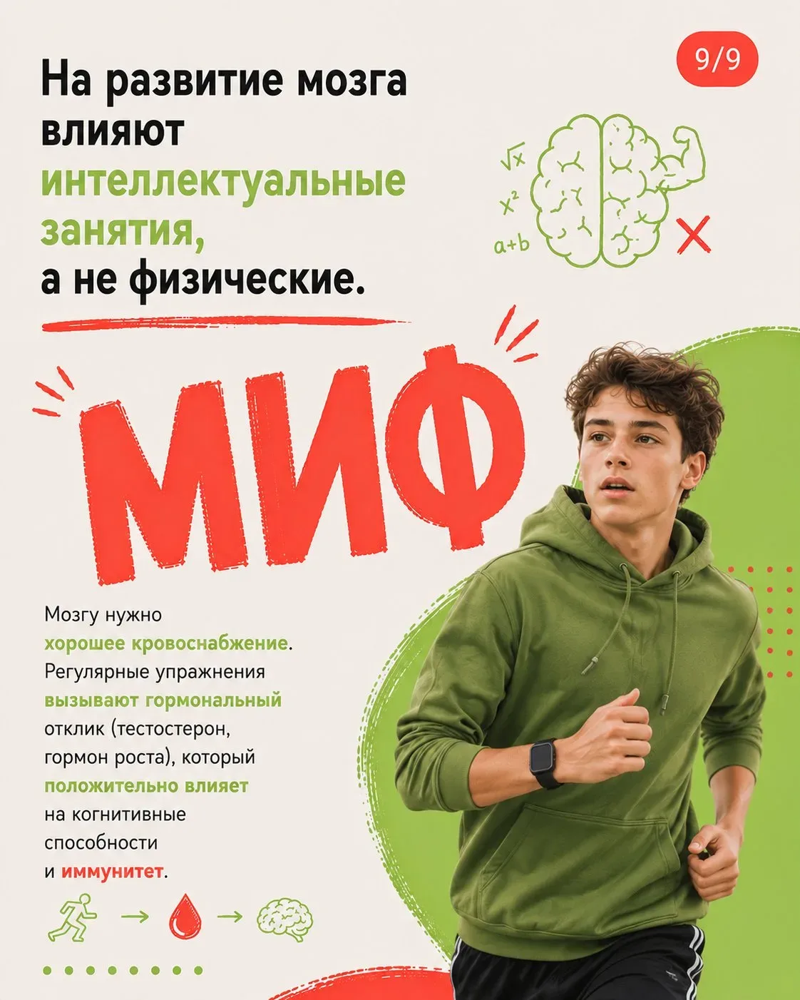 Что помогает детям стать умнее, а что глупее. Разбираем правду и мифы с точки зрения нейробиологии 👆