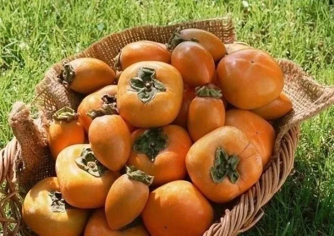 Польза хурмы 🌿  Сочный фрукт для питания и тонуса организма  Что содержит 🍊 калий, магний, кальций, 