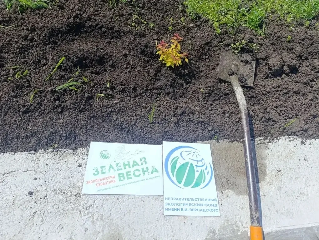 🌱 Зеленая Весна 2026: Аллея добра и красоты  Сегодня наши студенты приняли участие во Всероссийском 