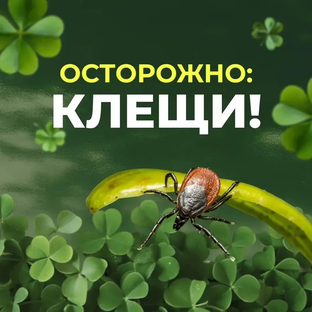 ----------  ☀️ Совсем скоро начнутся летние каникулы — время прогулок, поездок, отдыха у бабушки и н