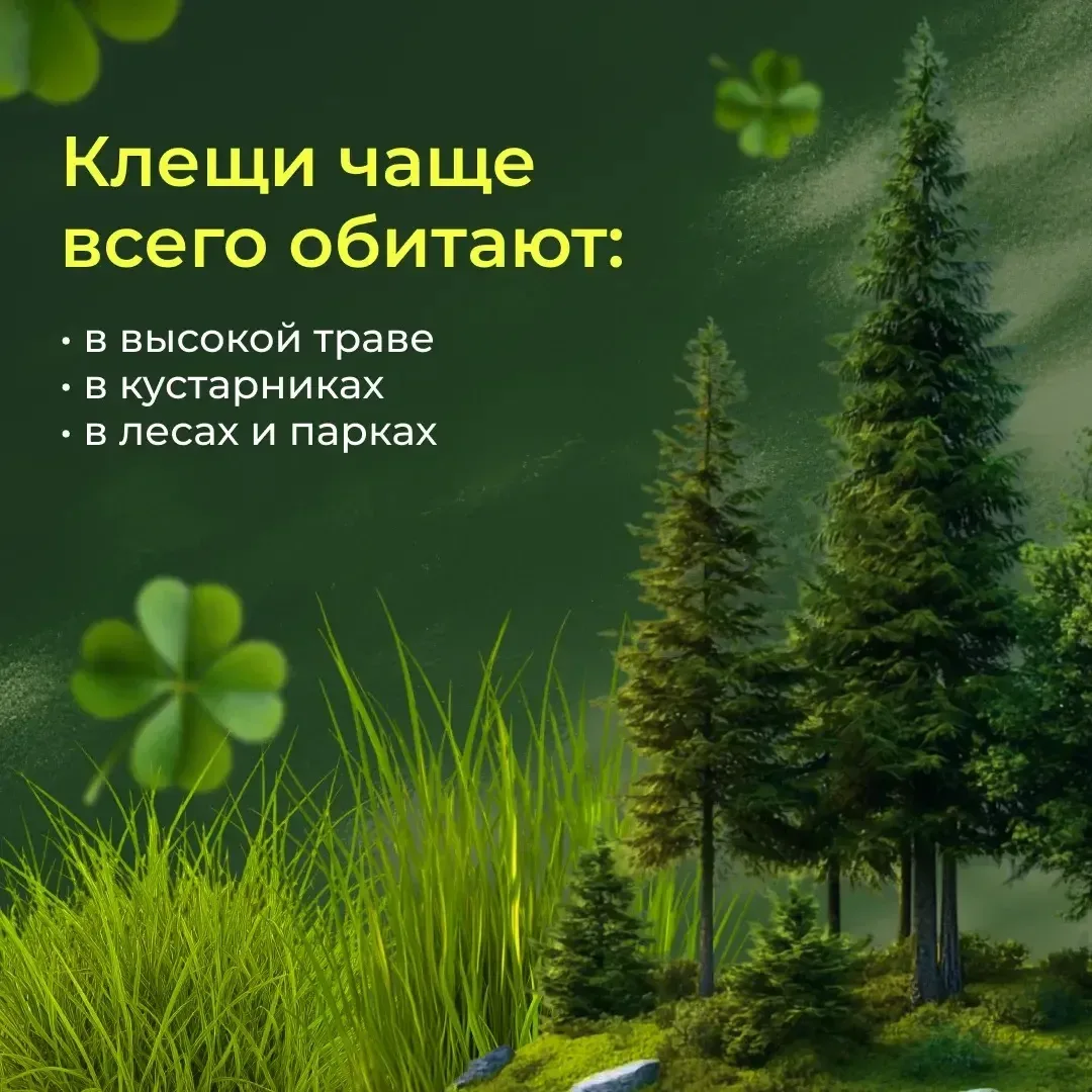 ----------  ☀️ Совсем скоро начнутся летние каникулы — время прогулок, поездок, отдыха у бабушки и н