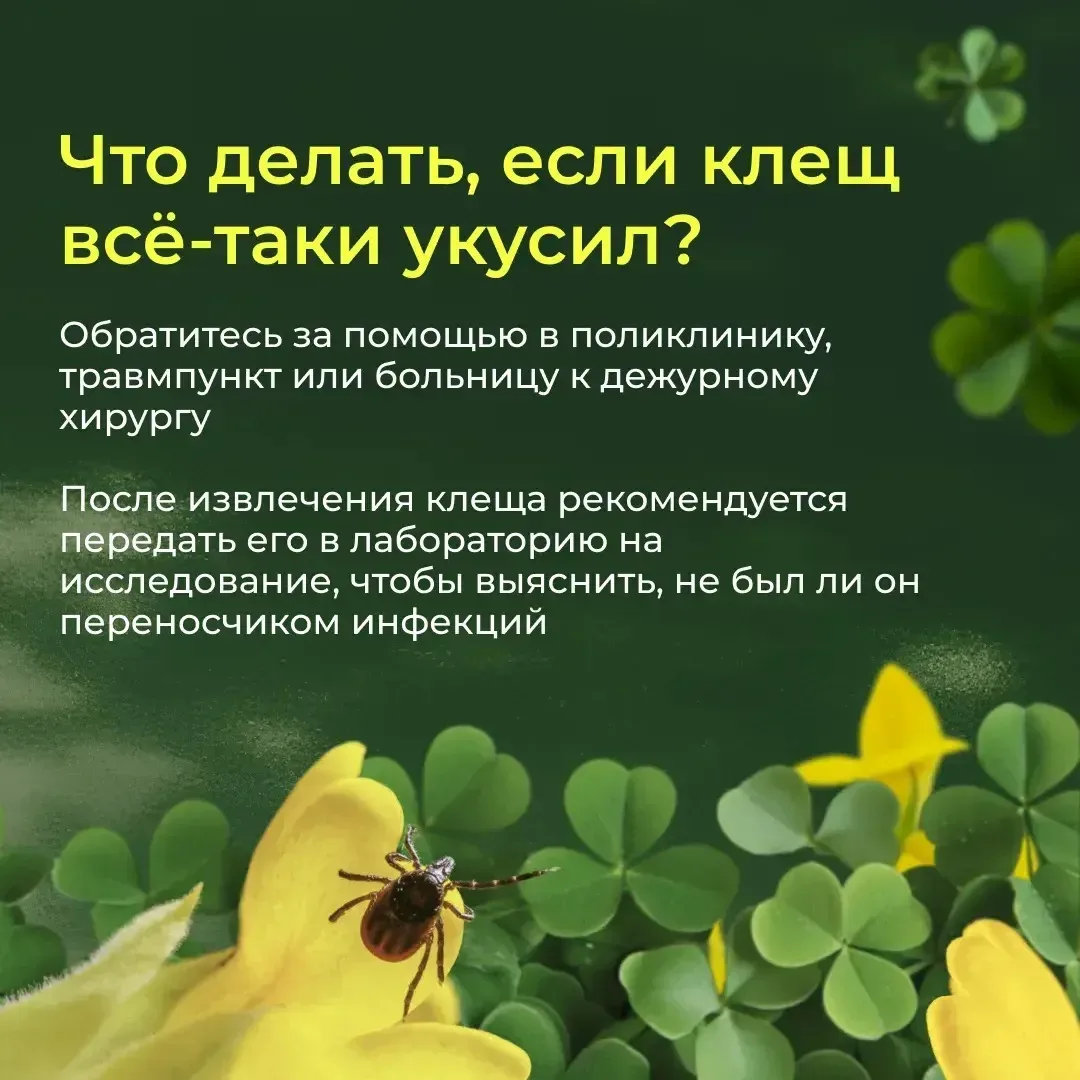 ----------  ☀️ Совсем скоро начнутся летние каникулы — время прогулок, поездок, отдыха у бабушки и н