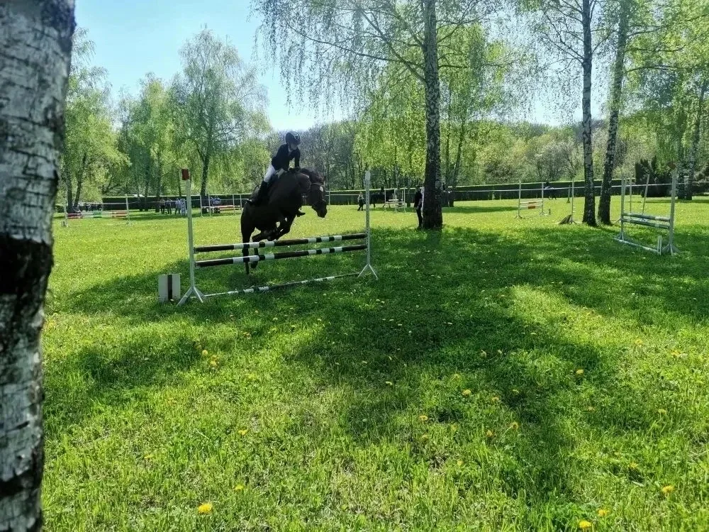 🏇Спешим поделиться с вами замечательной новостью! 10 мая 2026 года в Ставрополе, в парке Победы, сос