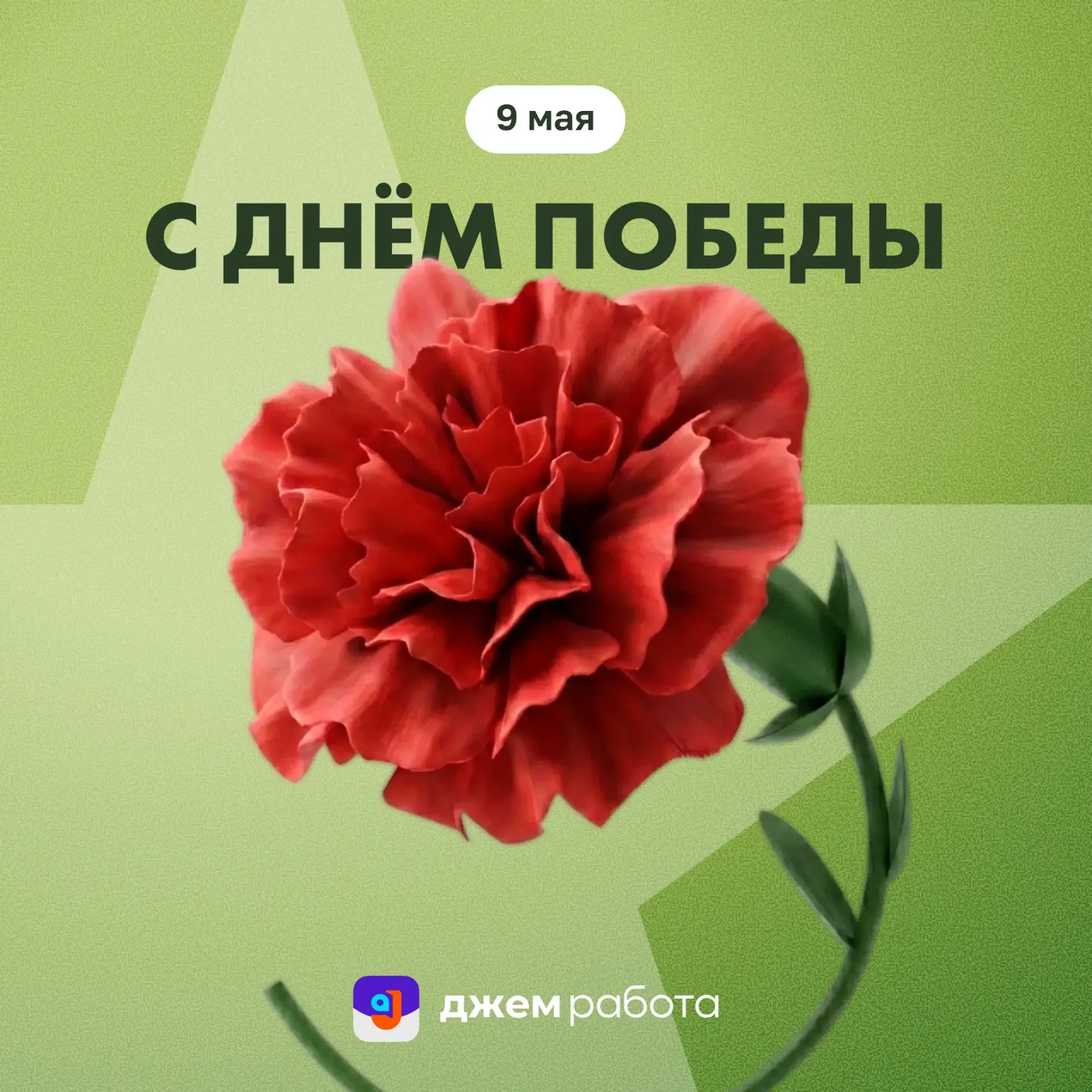 🕊 Поздравляем с Днем Победы!   Подписывайтесь на наши соцсети:   🟢 Telegram: https://t.me/jamrabota 