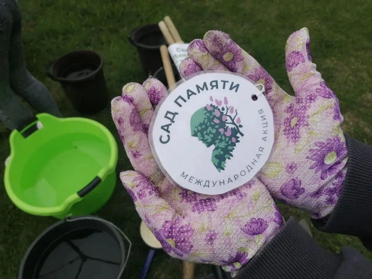 Отдел МФЦ по Тегульдетскому району принял участие в акции «Сад памяти»   🌱«Сад памяти» — это масштаб