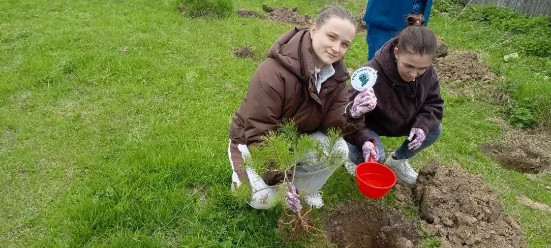 Отдел МФЦ по Тегульдетскому району принял участие в акции «Сад памяти»   🌱«Сад памяти» — это масштаб