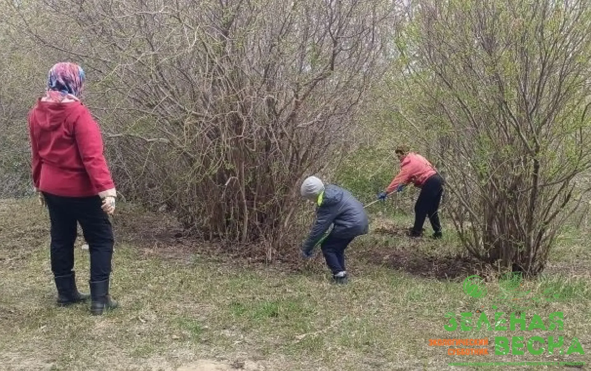 МФЦ Томской области — на экологическом субботнике   🌱С 13 по 19 мая отделы МФЦ Томской области приня