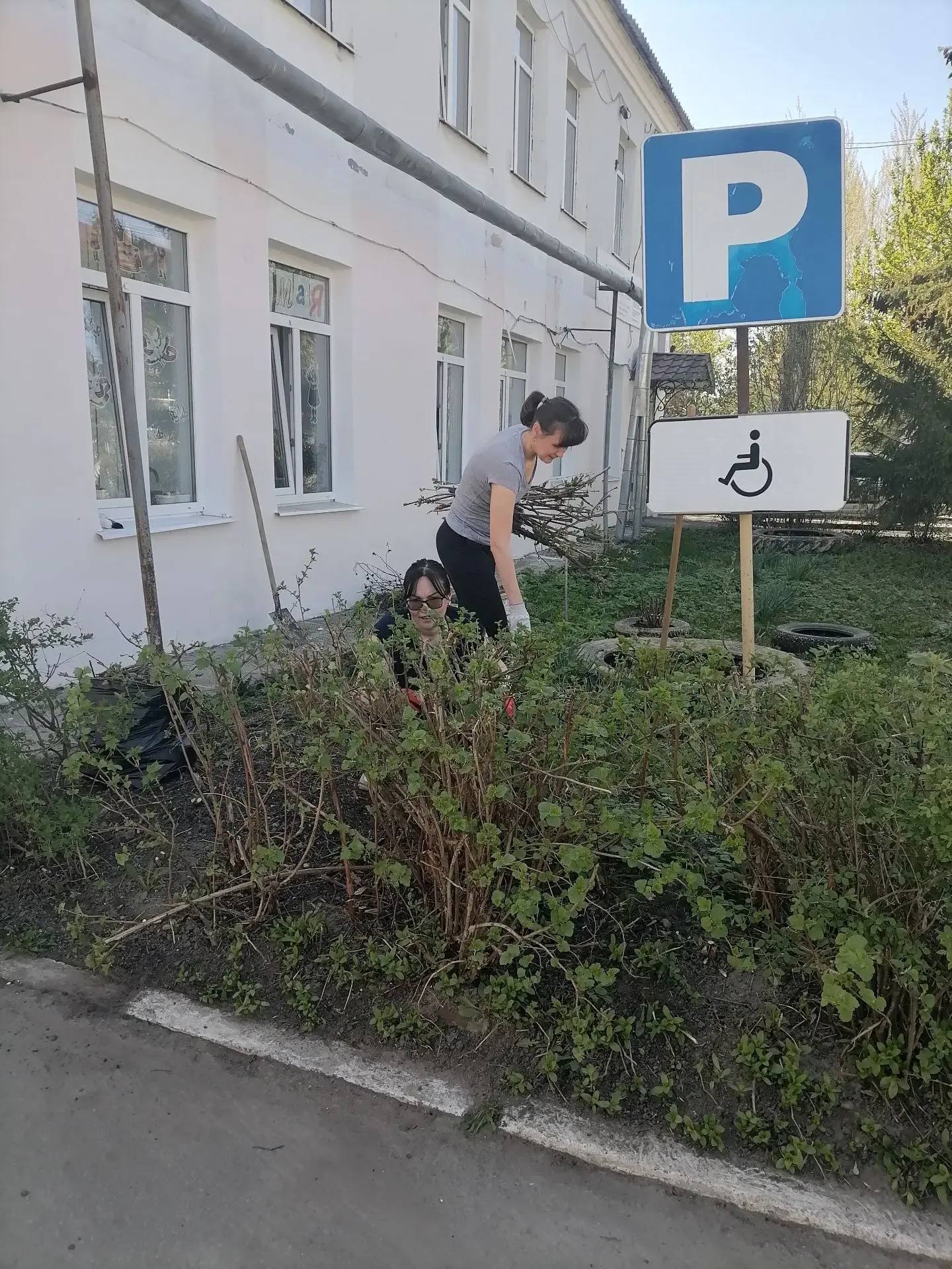 В рамках республиканского экологического месячника прошли субботники в отделениях МФЦ Чувашии  Тради