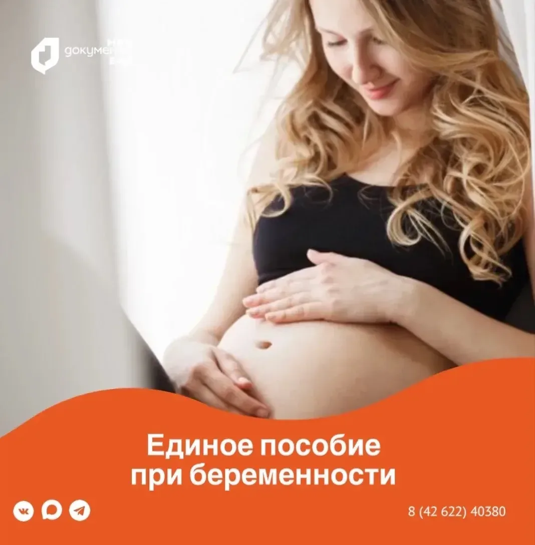 🤰 Единое пособие при беременности: когда подать заявление и за какой период оно выплачивается?  Разб