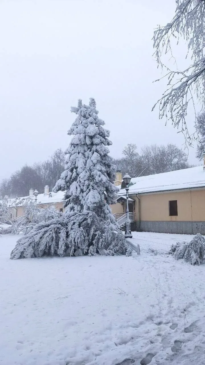 ☃️  Прогулка по парку Царицыно... так себе начало мая, если честно  😁