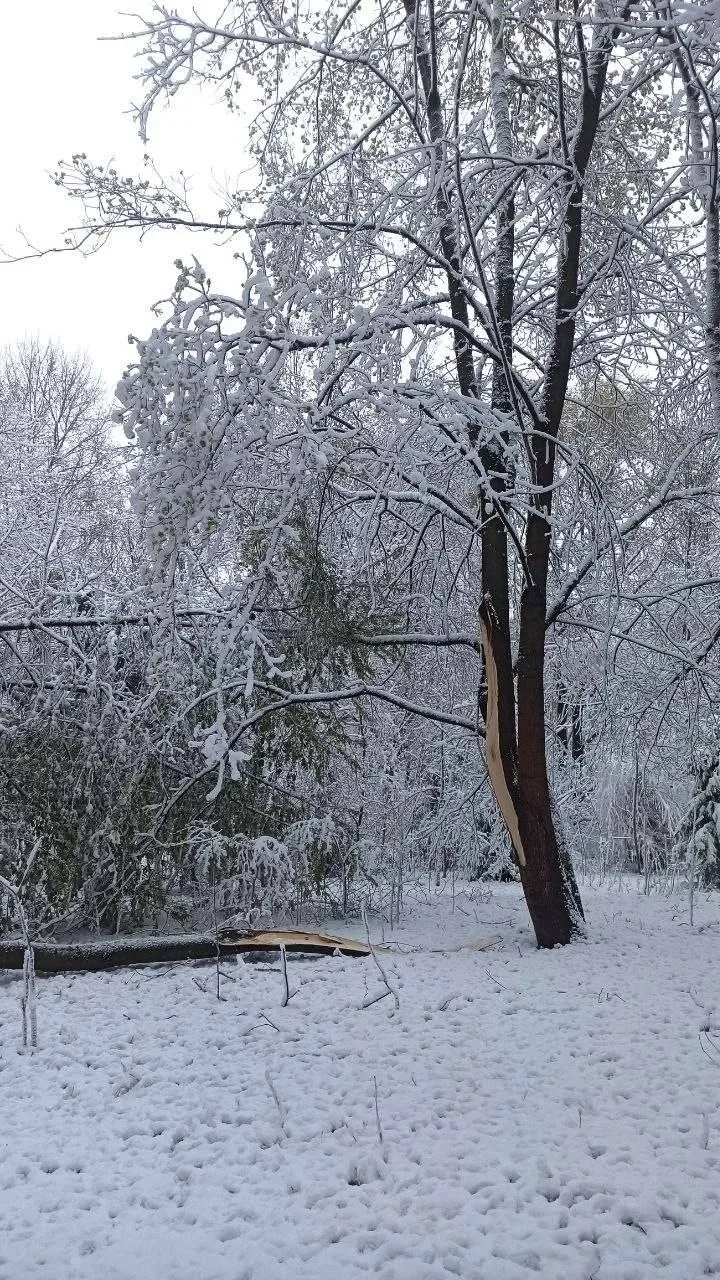 ☃️  Прогулка по парку Царицыно... так себе начало мая, если честно  😁