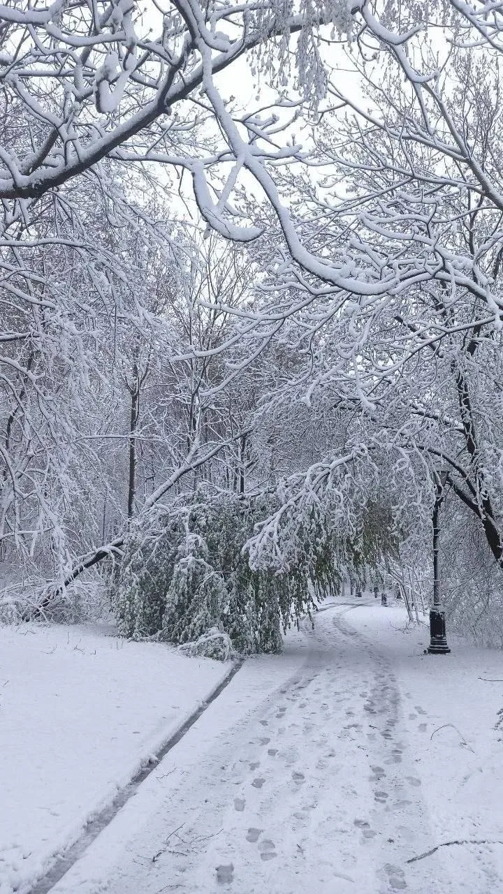 ☃️  Прогулка по парку Царицыно... так себе начало мая, если честно  😁