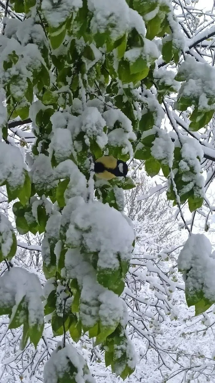 ☃️  Прогулка по парку Царицыно... так себе начало мая, если честно  😁