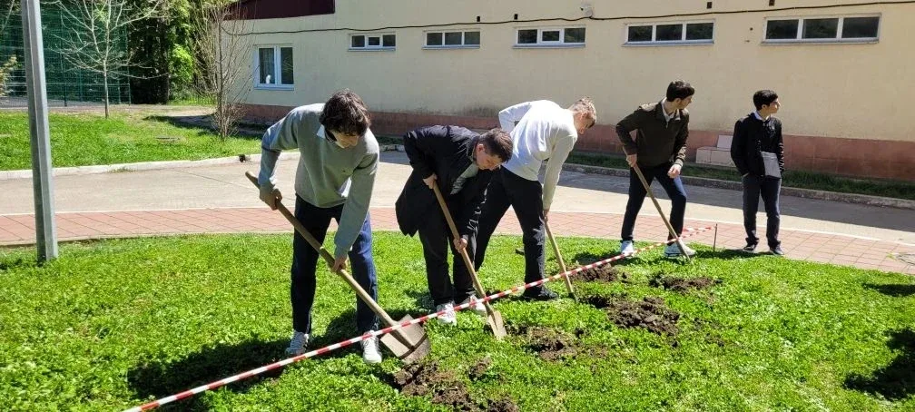 Акция "Сирень Победы": Память, Живущая в Цвету  В преддверии Дня Великой Победы учащиеся 11 "А" клас