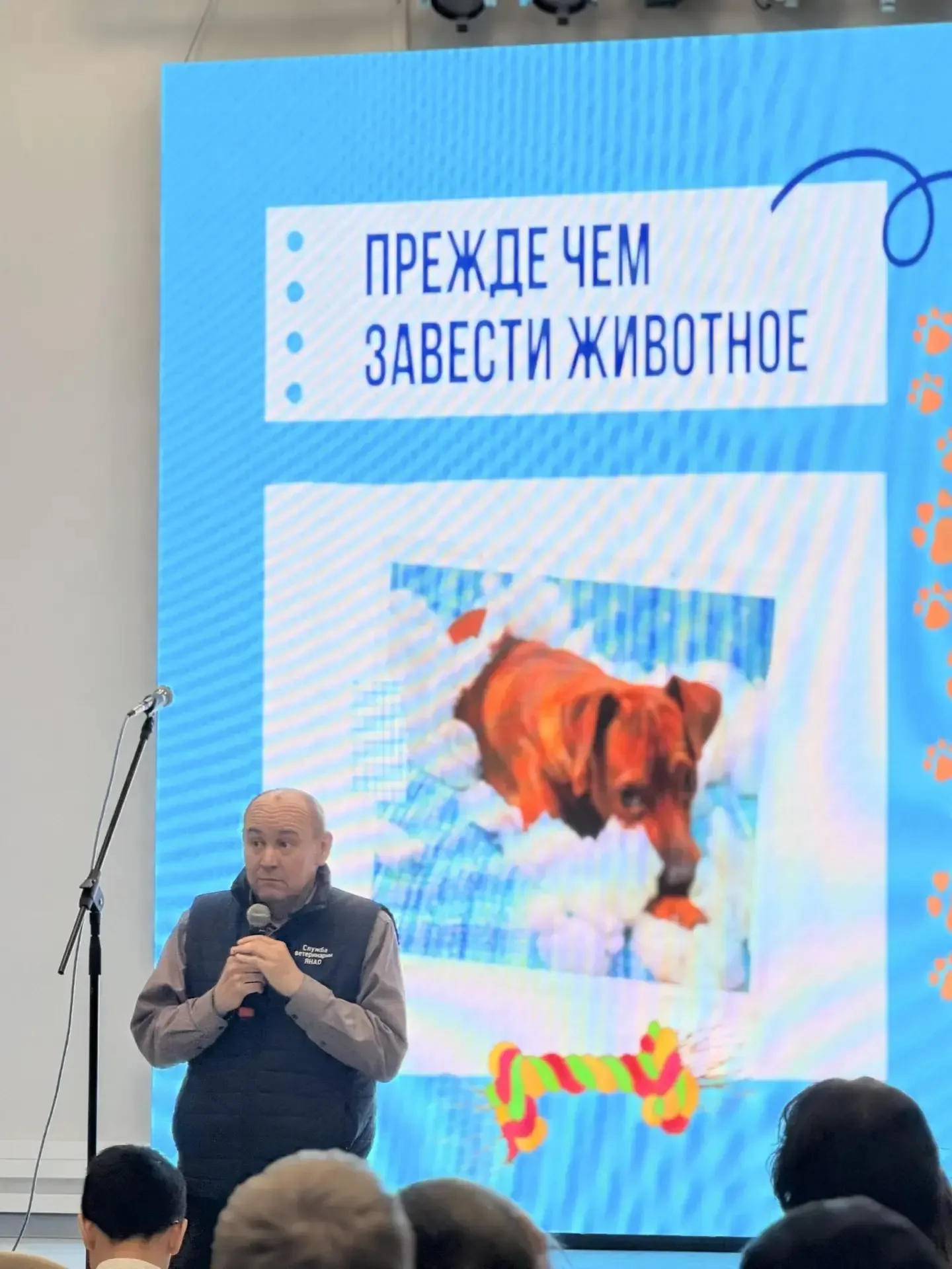 Пятиклассники встретились со специалистом Службы ветеринарии ЯНАО  На прошлой неделе у наших пятикла