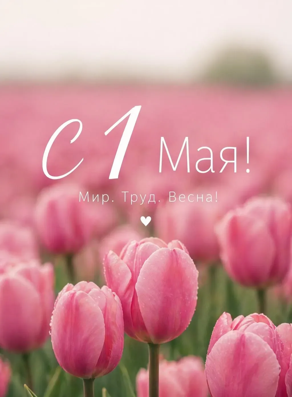 🌸Уважаемые ученики, родители и учителя!  От всей души поздравляем вас с 1 Мая! 🌷 Пусть этот день ста