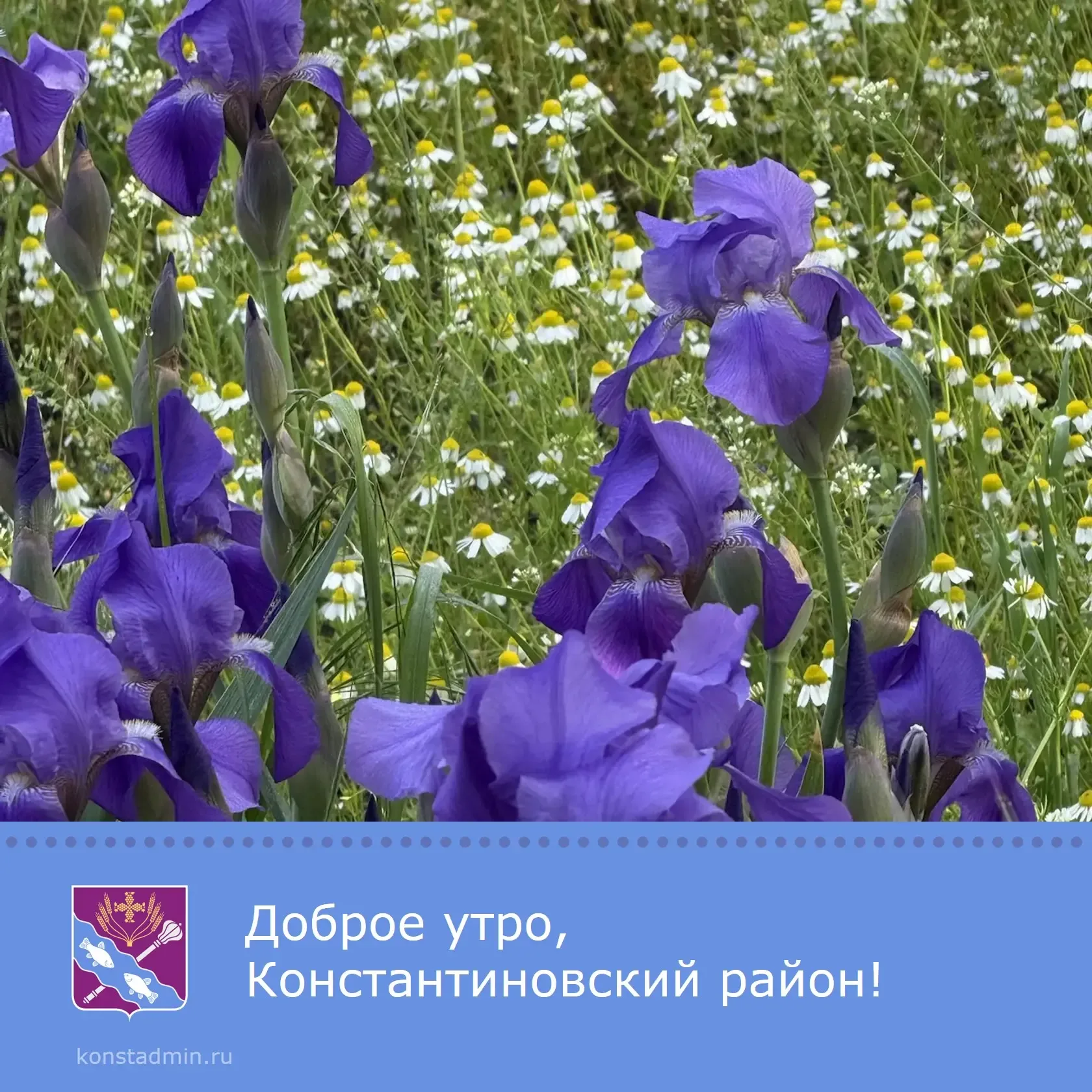 Доброе утро, уважаемые жители Константиновского района!✨  Пусть день будет наполнен радостным настро