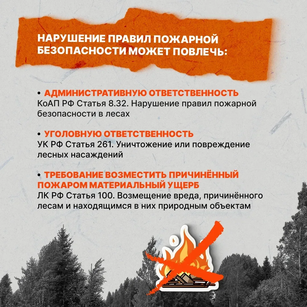 🔥 Одна непотушенная сигарета, костёр или пал сухой травы способны уничтожить гектары леса, хозяйстве