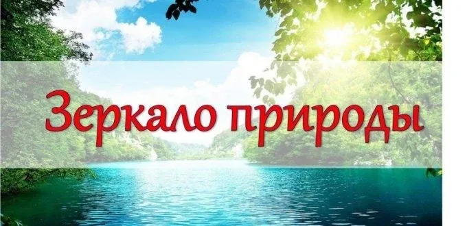 📝Подведены итоги областного этапа конкурса детского творчества «Зеркало природы» ✨Конкур проводится 