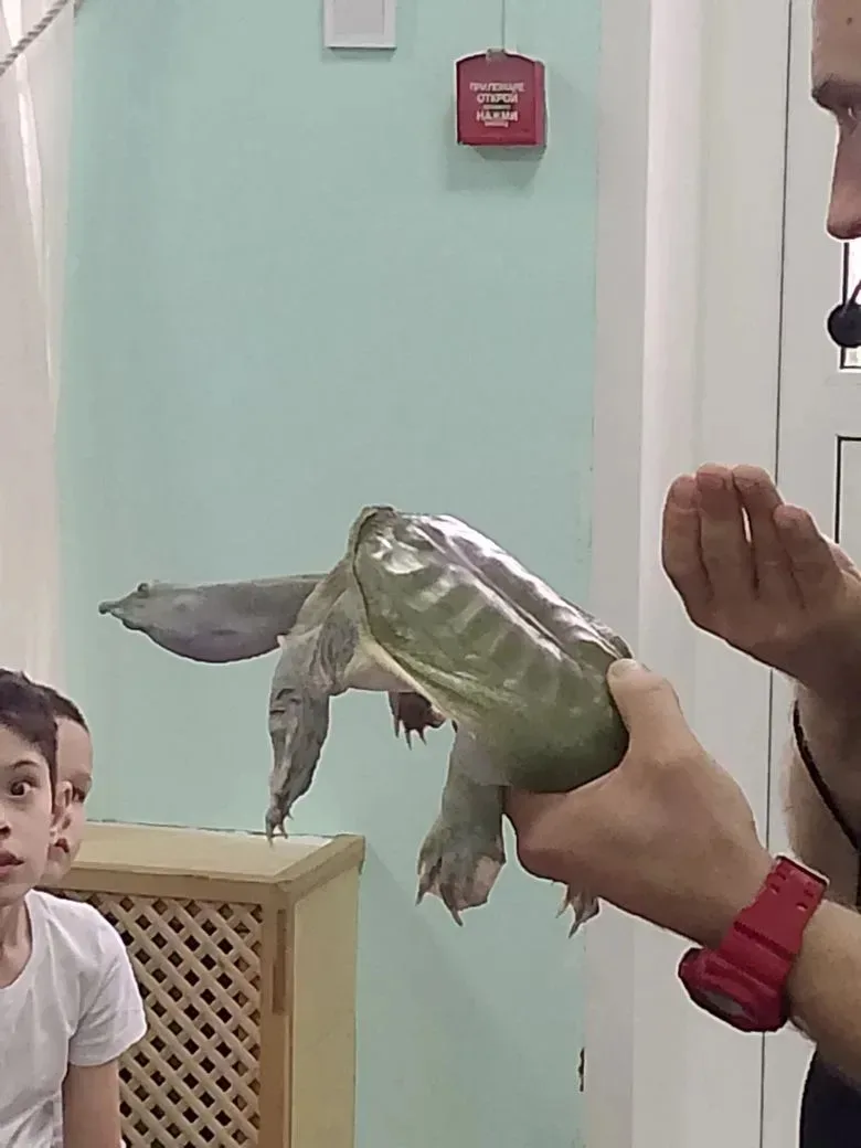 Сегодня в корпусе Ершовской начальной школы( д. Фуньково) было необычно! К нам приезжала компания «К