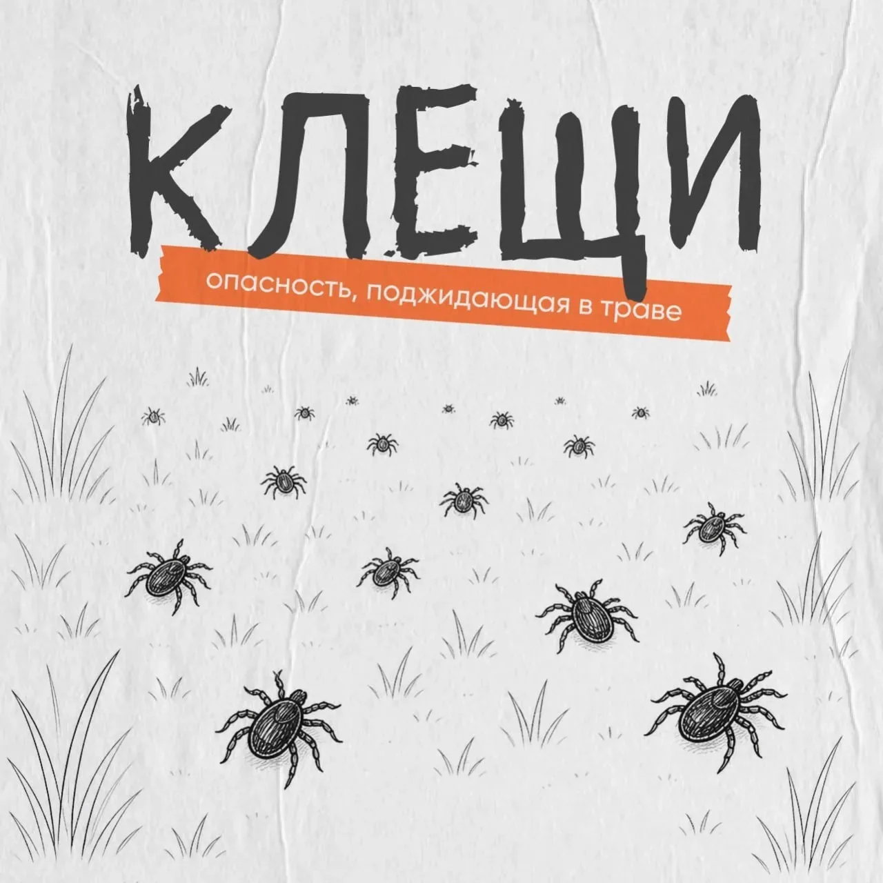 Осторожно, клещи!  С приходом тепла эти маленькие кровососы становятся серьезной угрозой.  Чем опасе