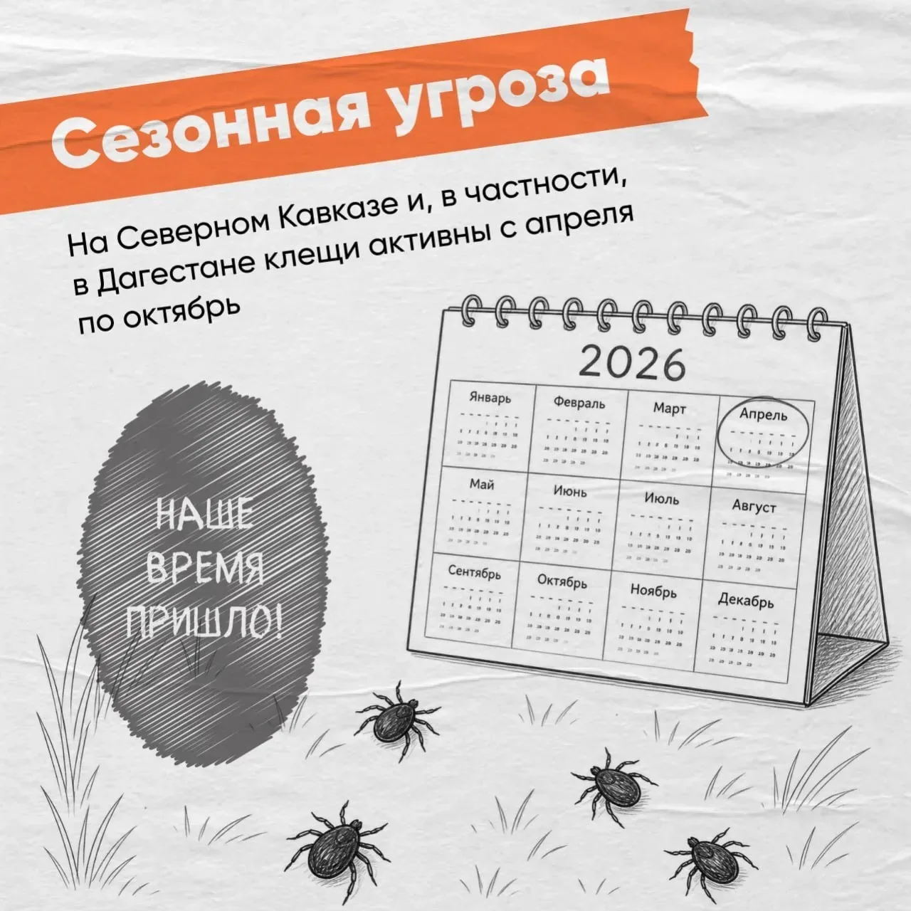 Осторожно, клещи!  С приходом тепла эти маленькие кровососы становятся серьезной угрозой.  Чем опасе