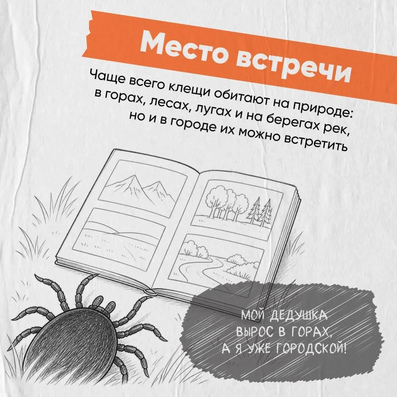 Осторожно, клещи!  С приходом тепла эти маленькие кровососы становятся серьезной угрозой.  Чем опасе