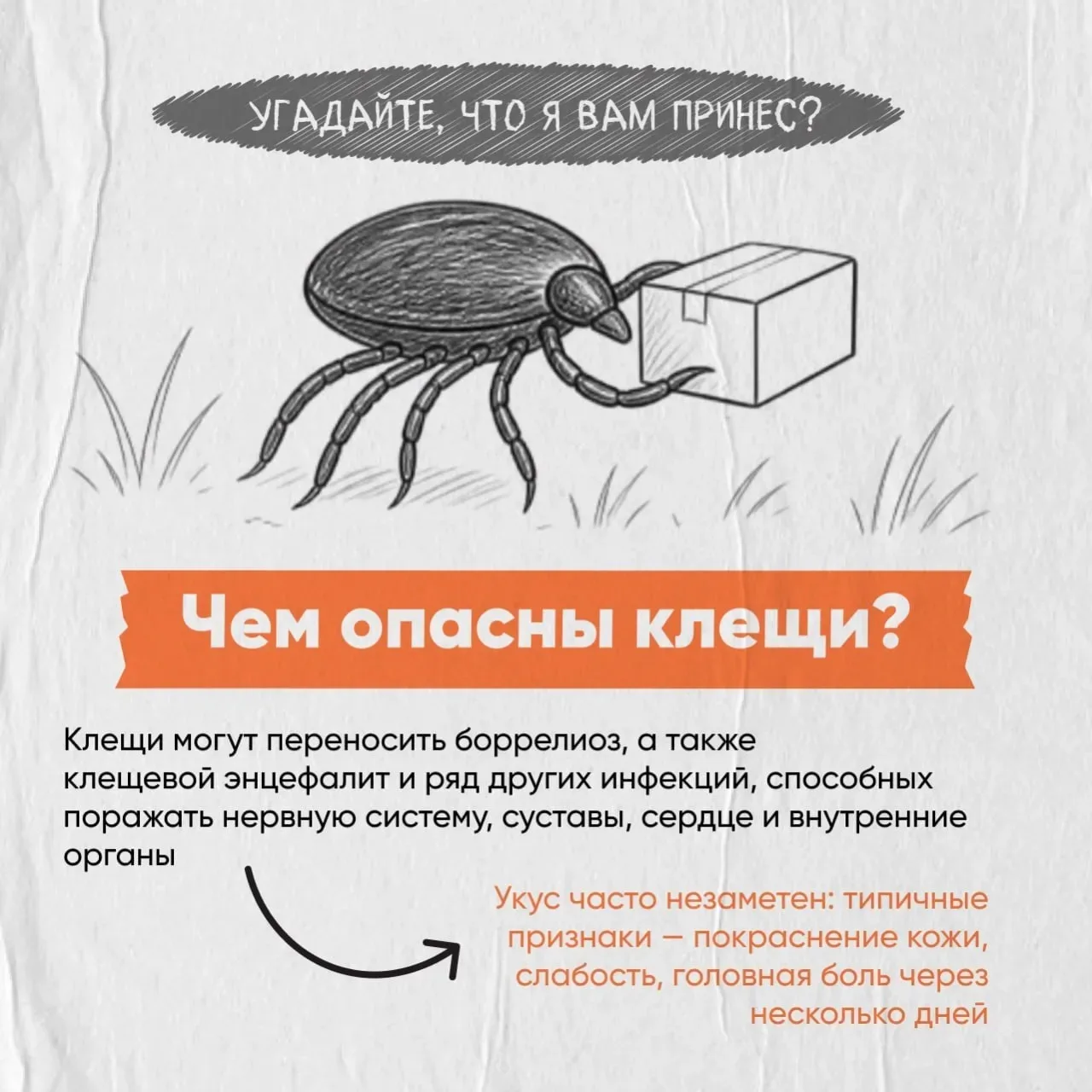 Осторожно, клещи!  С приходом тепла эти маленькие кровососы становятся серьезной угрозой.  Чем опасе