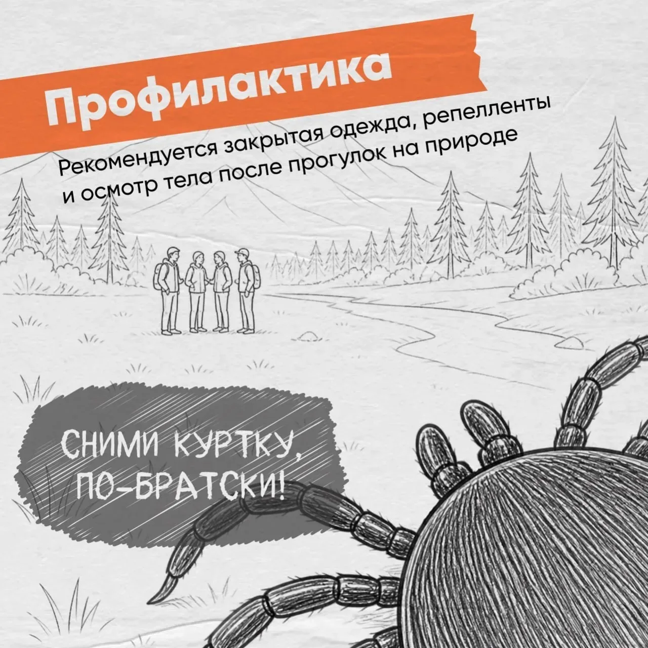 Осторожно, клещи!  С приходом тепла эти маленькие кровососы становятся серьезной угрозой.  Чем опасе