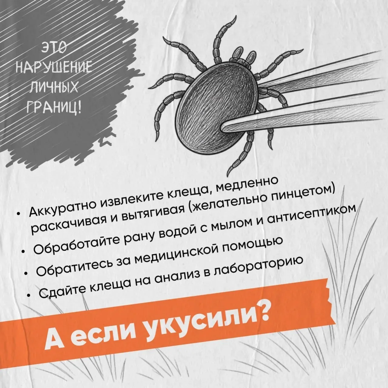 Осторожно, клещи!  С приходом тепла эти маленькие кровососы становятся серьезной угрозой.  Чем опасе