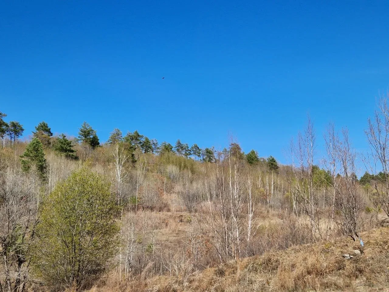 📍За сутки - 43 пожара!  За минувшие сутки в Приамурье произошло 43 пожара, из них 32 - палы сухой тр