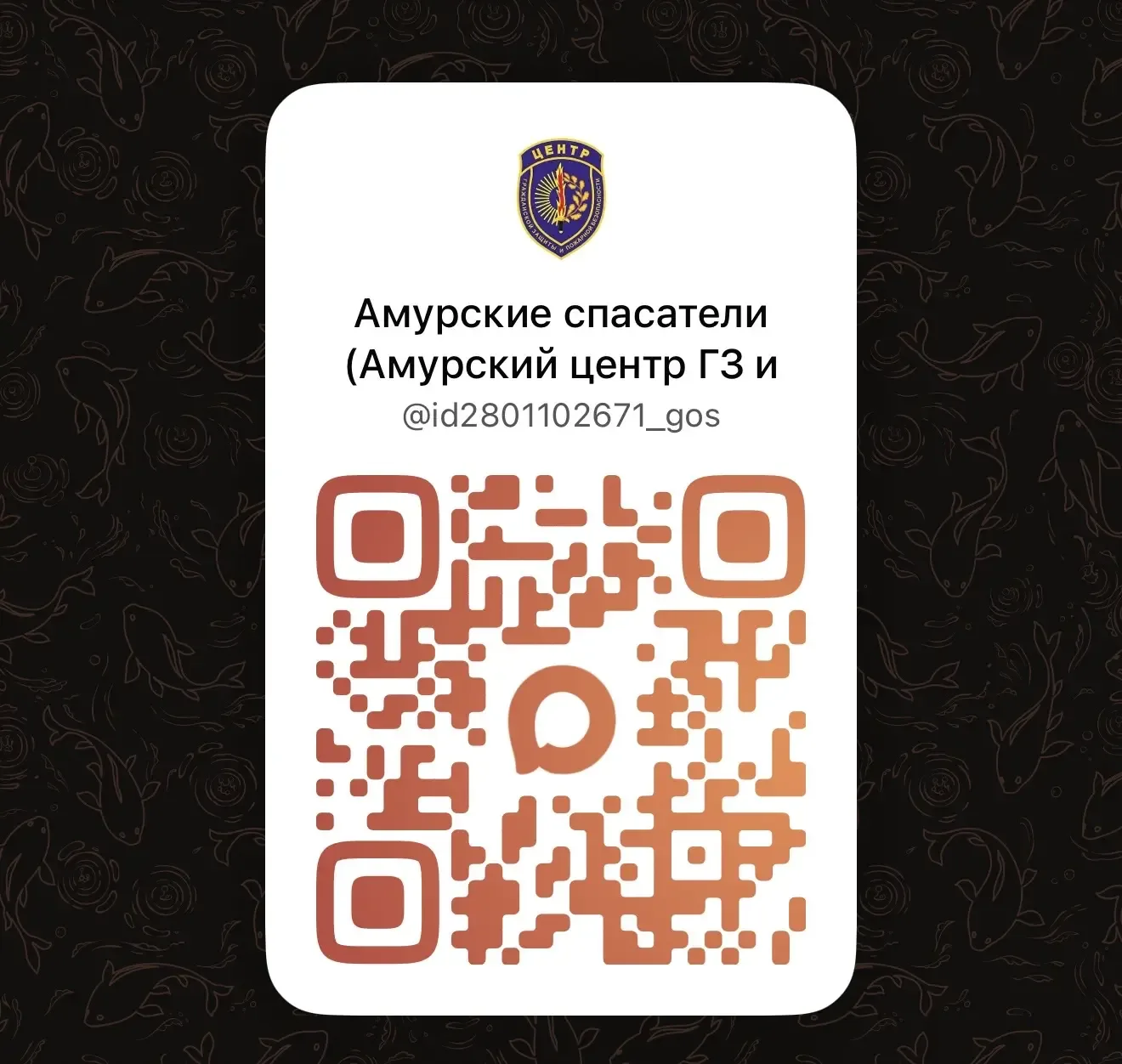 😉Рекомендуйте своим друзьям, коллегам и близким подписываться на канал «Амурские спасатели» в МАКС  