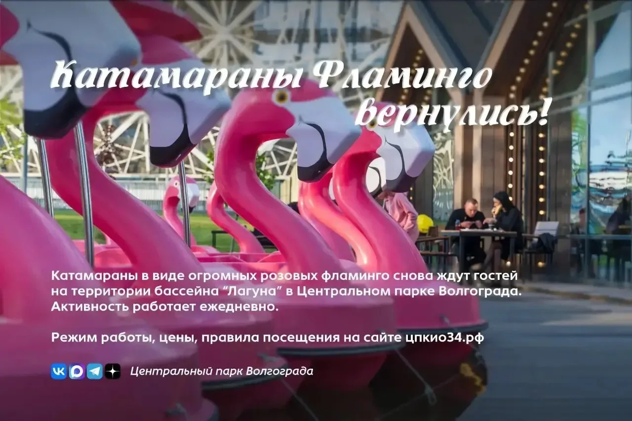 🦩 Двухметровые фламинго вернулись в ЦПКиО!  Катамараны в виде розовых фламинго возобновили работу в 