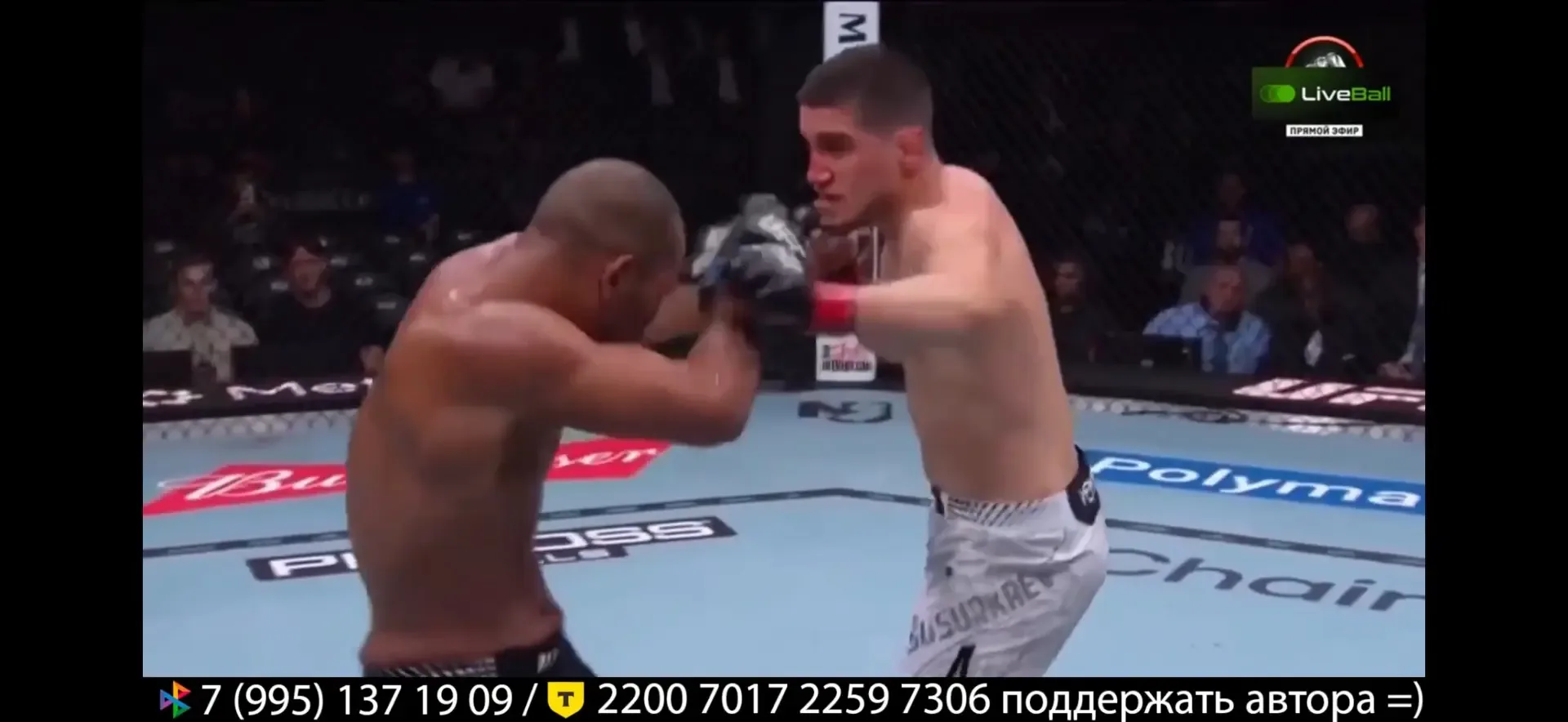 В ночь на 10 мая на UFC 328 прошел бой в среднем весе между Байсангуром Сусуркаевым (12−0) и Джорден