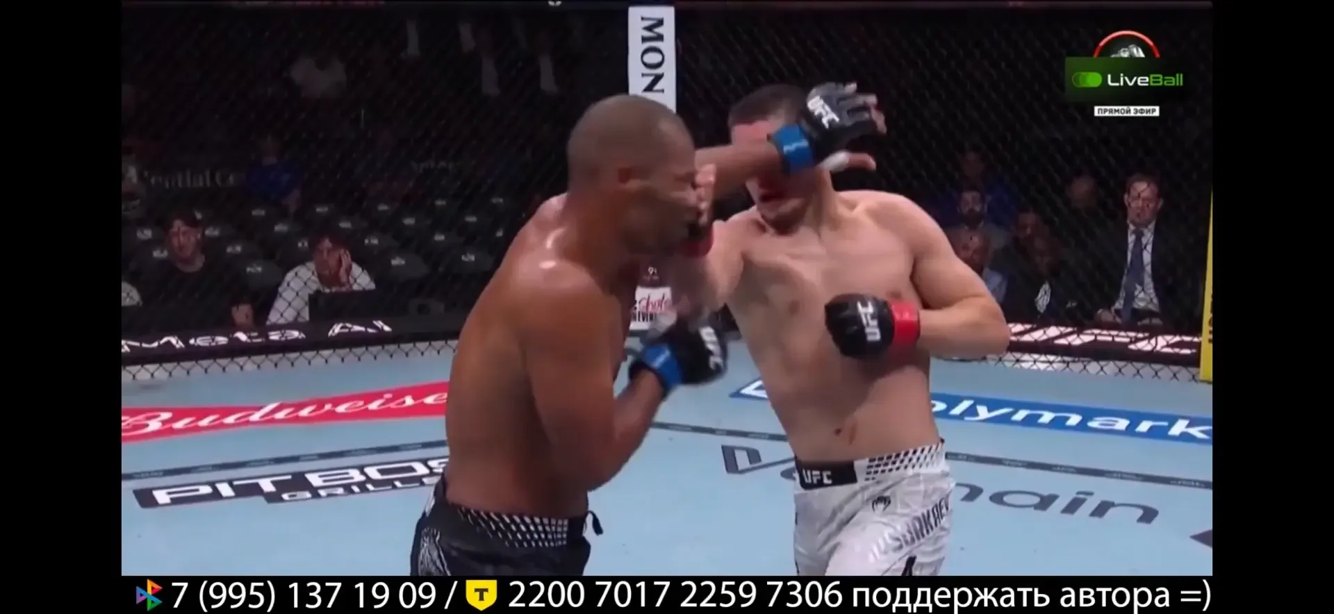 В ночь на 10 мая на UFC 328 прошел бой в среднем весе между Байсангуром Сусуркаевым (12−0) и Джорден