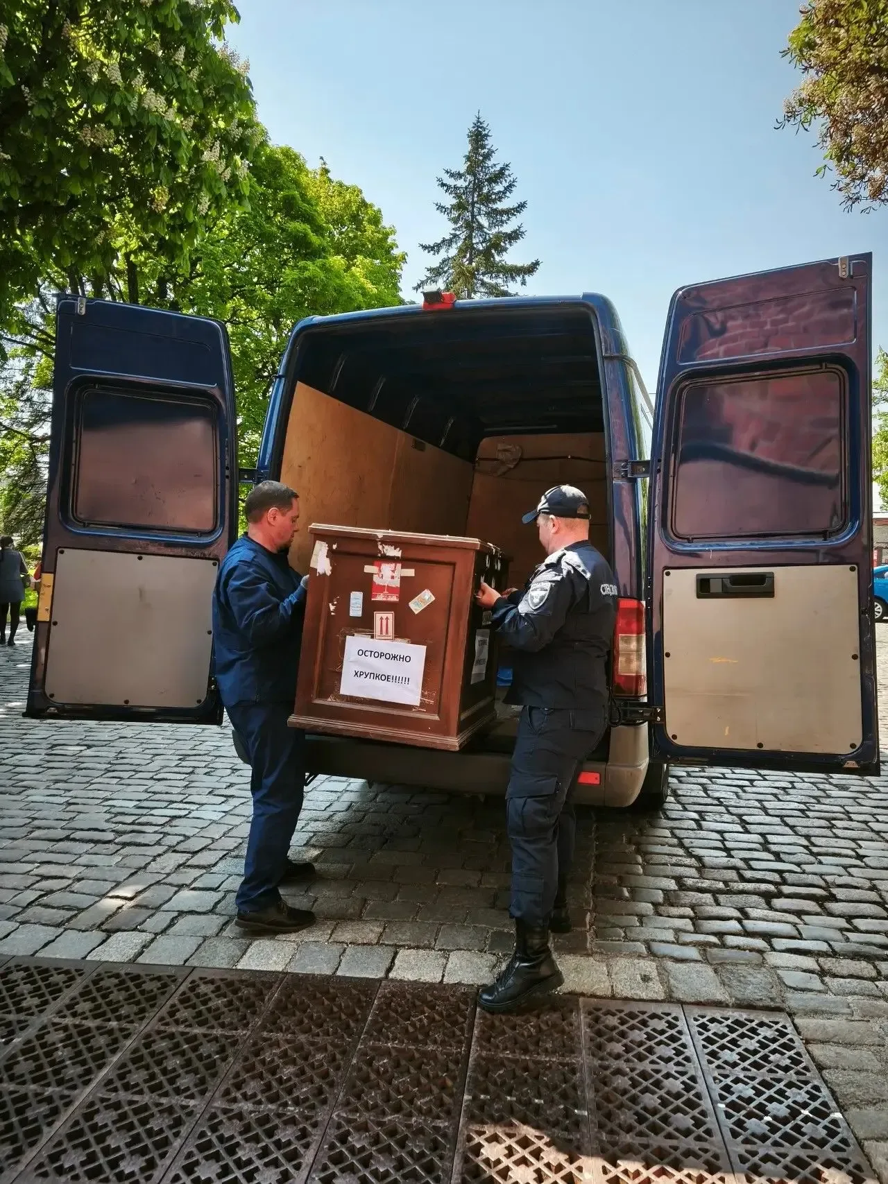 🏛 Выставка «Тайная жизнь в янтаре» откроется в Ступинском историко-краеведческом музее  В Ступинском