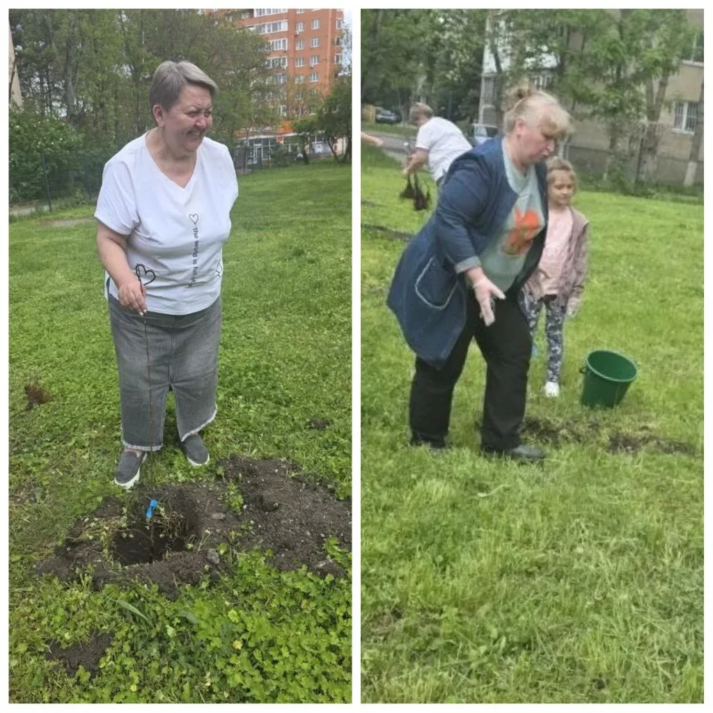 В рамках государственной программы "Сады Памяти" Селекционно-генетический центр им. И. В. Мичурина п