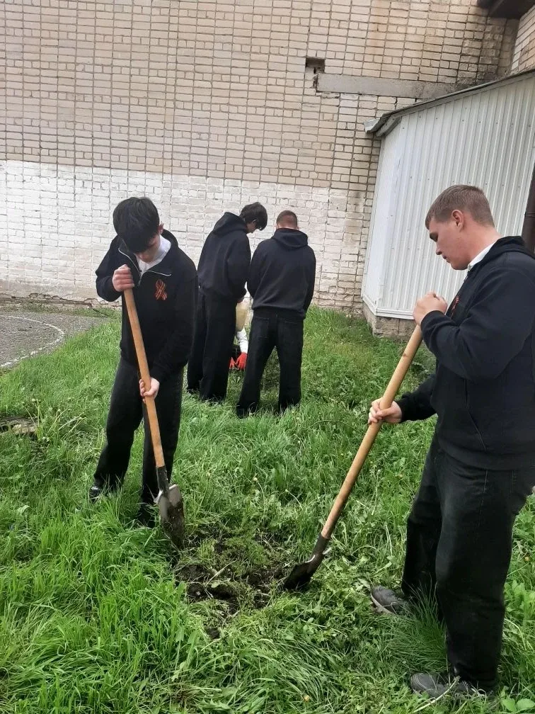 🌱 Вечная память — в каждом ростке  Обучающиеся МБОУ СОШ № 4 стали частью Всероссийской патриотическо