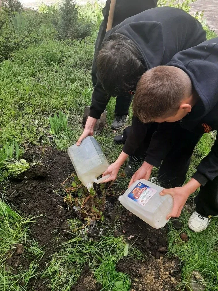 🌱 Вечная память — в каждом ростке  Обучающиеся МБОУ СОШ № 4 стали частью Всероссийской патриотическо